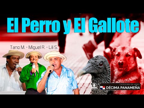 Tano Mojica vs Lily Samaniego vs Miguelito Rivera N° 65  (EL PERRO Y EL GALLOTE)