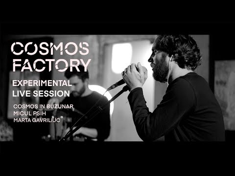 /// Cosmos Factory #1 /// COSMOS in BUZUNAR feat Mic-ul Psih -    IZVOR