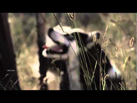 Promoe - Mammas Gata feat. Andreas Grega, Timbuktu & Supreme