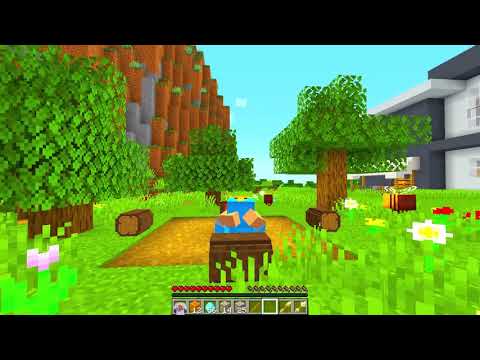 Le API Lavorano Per ME Su Minecraft!