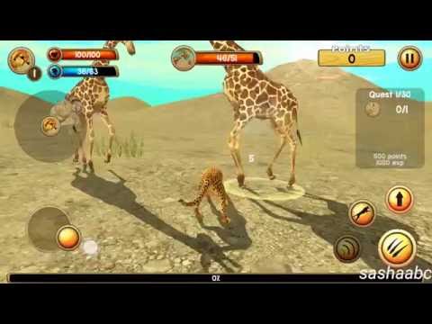 wild cheetah sim обзор игры андроид game rewiew android.