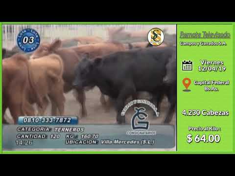 12-4-19 - Venta de Machos - Remate Televisado de Campos y Ganados S.A. - Cap. Federal