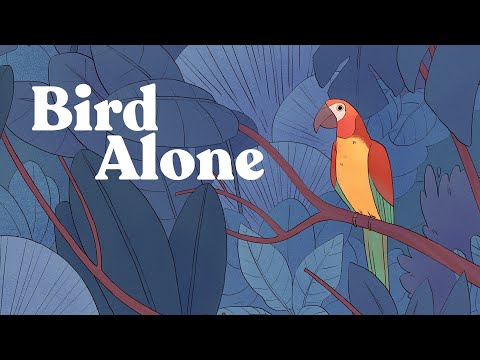 Wideo Bird Alone