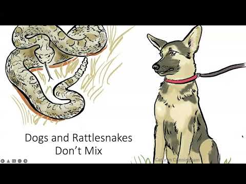 Keeping your Dog Safe in Snake Country