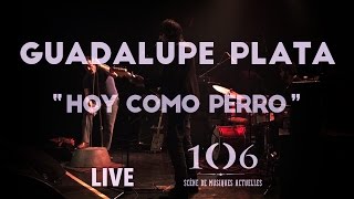 Guadalupe Plata - Hoy Como Perro - Live @Le106