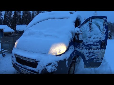 Sitikka poiki, Lynx heräs henkiin ja Case kukkuu