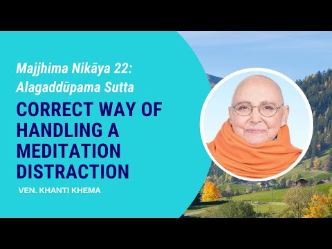 MN-22: Alagaddupama Sutta - Correct Way of Handling a Meditation Distraction | Ven. Khanti Khema