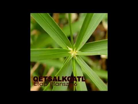 QetsalKoatl - Kość Wideo