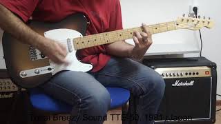 Video thumbnail for Tokai Breezy Sound TTE-50  Telecaster Japan, 1981-82 (Demo) by P/B Guitars
