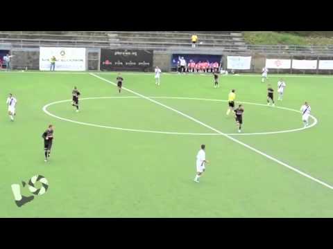 L'Osservatore in Poltrona - Pulina Michele