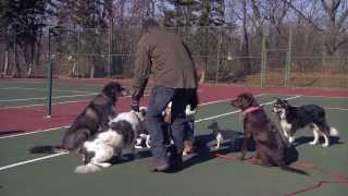 Video 17 by Louis Jaime for Film Production