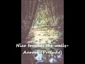 NICO touches the Walls - Aurora (Prelude) 