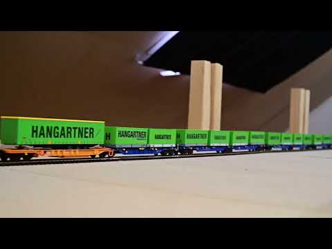 BLS 166 met Hangartner shuttle