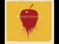 Dashboard Confessional~The Shade of Poison Trees