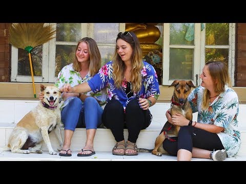 Marketing Interns in Thailand