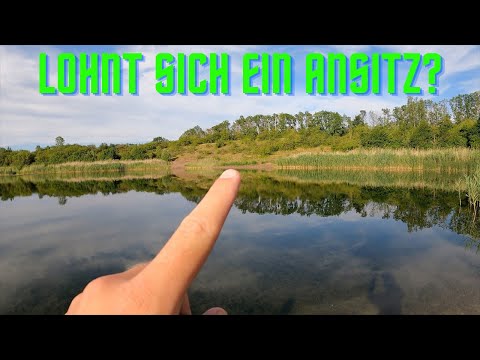 Angeln am neuen Gewässer - Erkundungstour mit Hechten und Barschen!