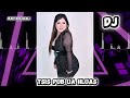 DJ Tsis Pub Ua Hluas By Maiv Xis Hawj Nkauj Lom Zem