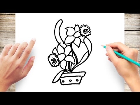 How to Draw a Tulip in a Pot Step by Step