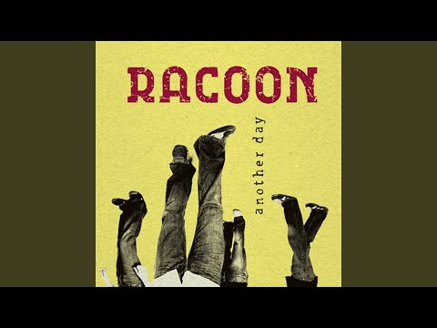 Heros In Town - Racoon