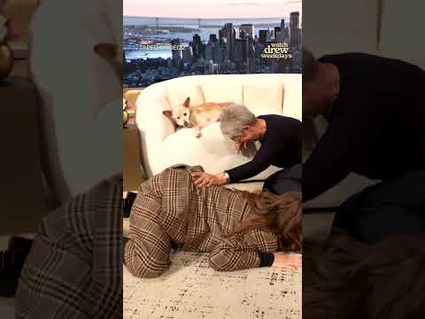 Jamie Lee Curtis Reacts to Drew Barrymore Demonstrating How to Spatchcock a Turkey | #Shorts