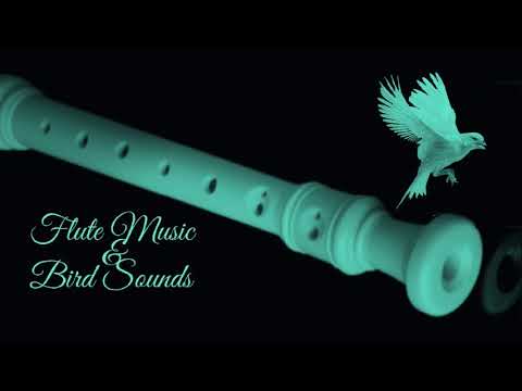 The Adventures of Sherlock Holms and Dr. Watson theme music - Vladimir Dashkevich / Flute Cover