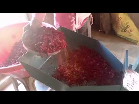 Red Chilli Pulverizer Machine