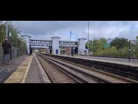 wirral squirrel tour at Hooton