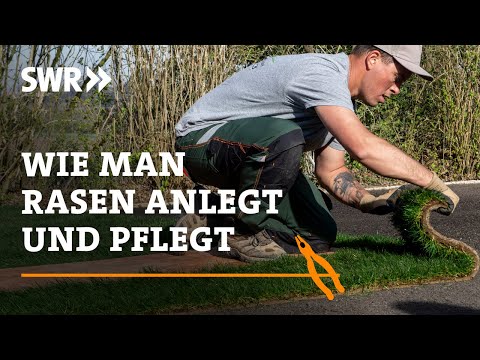 How to lay and maintain a lawn | SWR Handwerkskunst