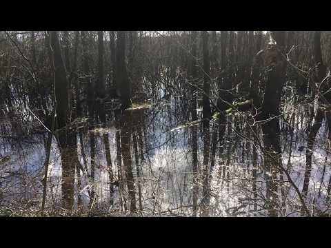 TRESJÖN - vid HÄSTHAGENS FORNBORG (RONNEBY - KALLINGE) - 190324 (iPhone SE) BLEKINGE