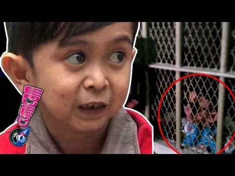 Daus Mini Dipenjara? - Cumicam 04 Februari 2016