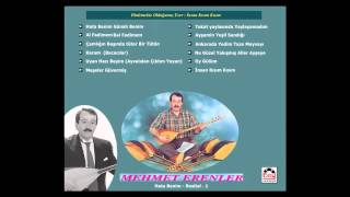 Mehmet Erenler - İnsan Kısım Kısım