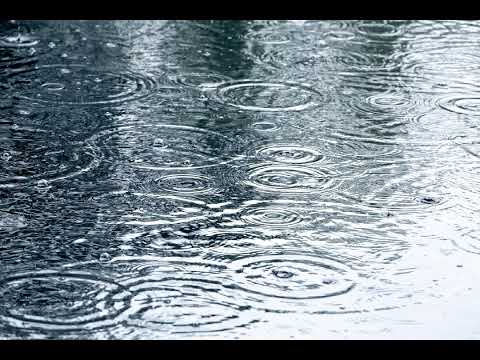 Shady Moon - love hound (Instrumental) with rain