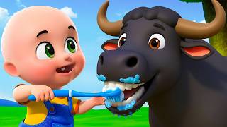 Download lagu Baby Buffalo Song New Compilation | Old MacDonald in Farm | Baby Cartoon & Kids Songs Baby Bobo mp3