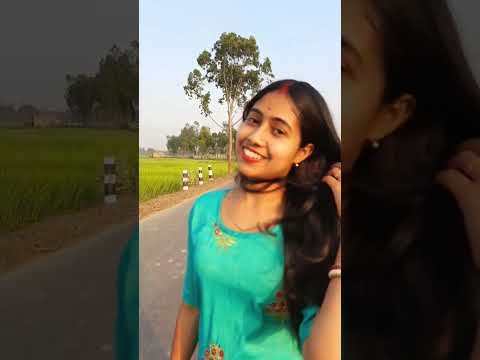 kudiye ni teri vibe #akshaykumar #selfiee #mrunalthakur #theprophec #tanishk #zarhrah #viral #shorts