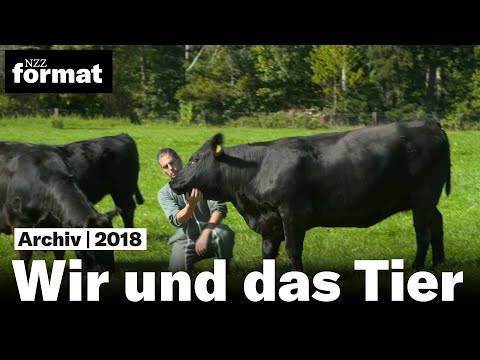Wir und das Tier – verehrt oder verzehrt  (2018)