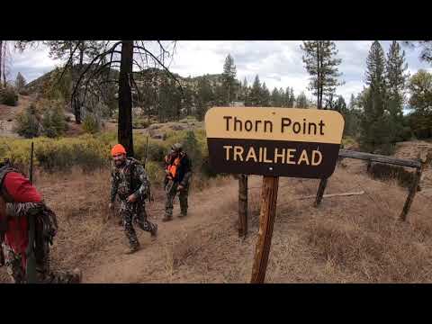 11/1/2020 - Thorn Point