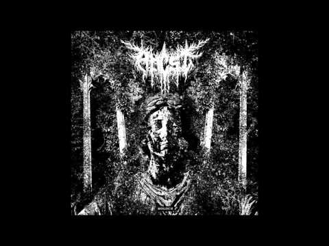 Ancst - In Decline