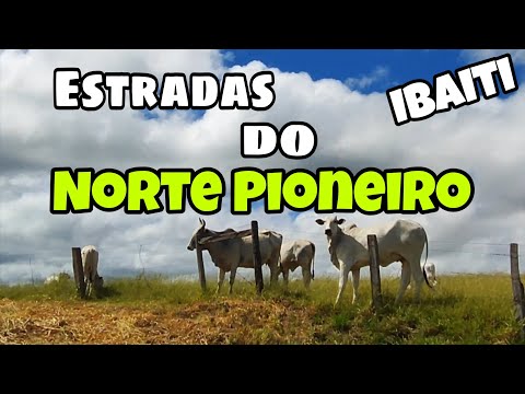 #ibaiti #paraná #norte #pioneiro #agro #gado #music #video #youtube 