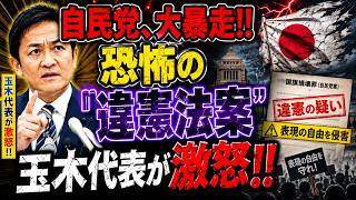 自民党の大暴走!! 「国旗損壊罪」は違憲!? 玉木代表が痛烈批判!! 逆効果で日本中が大混乱