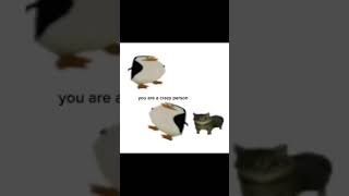 Download lagu The carten is very cute π₯° #roblox mp3 Download lagu The carten is very cute π₯° #roblox mp3