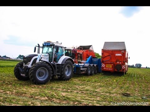 4 X BCMH bonenplukken 2013 - 2 x Fendt 930 White - Vandewalle en Demeulemeester