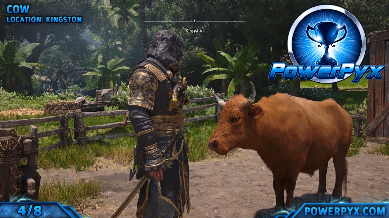 Assassin's Creed 4 Black Flag Resynced - All Friendly Animal Locations (Friend To All Trophy Guide)