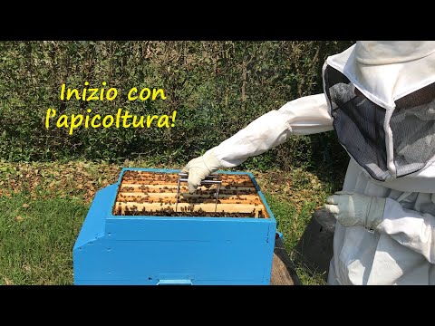 , title : 'Inizio con l’apicoltura. Ho preso un arnia e delle api 🐝'