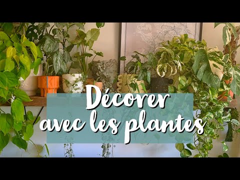 , title : 'Plantes & déco 🏠🌿 - 5 astuces d'aménagement + tour de mes cache pots préférés !'