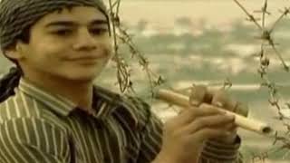 صحيح الدنيا عيد بس في ناس مو شاعرين ولا حاسين فيه 🥺 لأن الضمير العربي مات