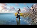 This Is How I Fish for Survival - Mangrove Forest Catch n’ Cook