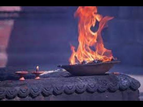 Parshat Shemini- "Is Triviality Really Trivial"