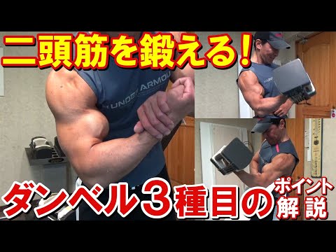 ダンベルカール動画サムネ