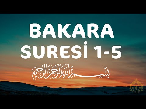 Bakara Suresi 1-5 ( Elif Lam Mim ) 500 tekrar - Kur'an-ı Kerim Rukye