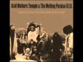 Acid Mothers Temple - Interplanetary Love